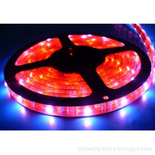 5050 30 LEDs/m Flexible Digital LED Strip